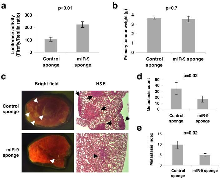 https://cdn.ncbi.nlm.nih.gov/pmc/blobs/eee6/2845545/00b1a8ef5b09/nihms178418f4.jpg