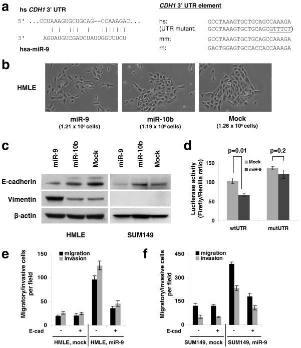 https://cdn.ncbi.nlm.nih.gov/pmc/blobs/eee6/2845545/1282fecb19c7/nihms178418f1.jpg