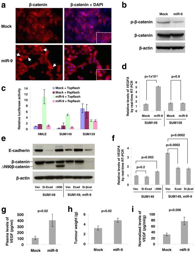 https://cdn.ncbi.nlm.nih.gov/pmc/blobs/eee6/2845545/1d9407937fbd/nihms178418f2.jpg