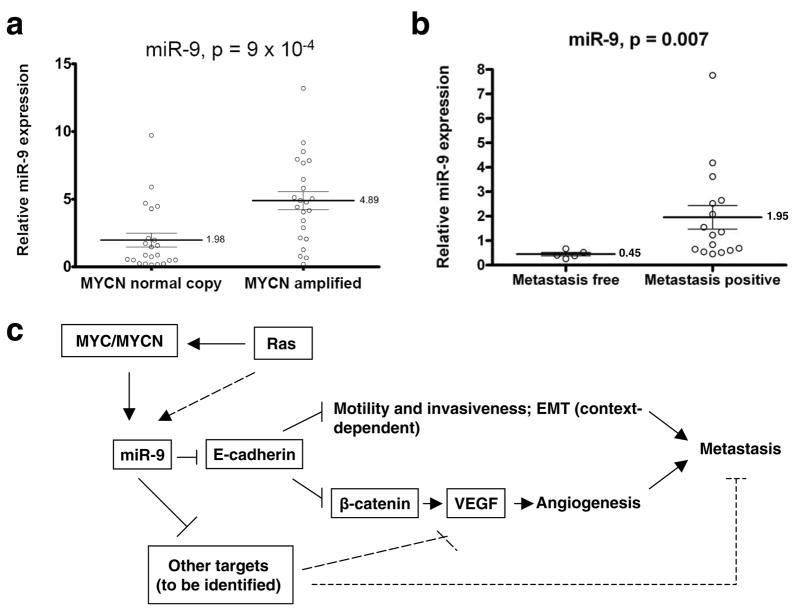 https://cdn.ncbi.nlm.nih.gov/pmc/blobs/eee6/2845545/1f69655c70d0/nihms178418f6.jpg