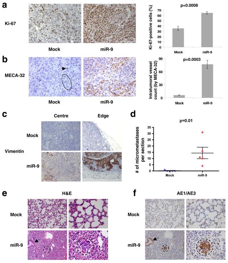 https://cdn.ncbi.nlm.nih.gov/pmc/blobs/eee6/2845545/a43c0760b469/nihms178418f3.jpg