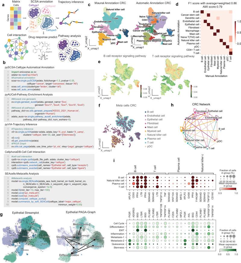 https://cdn.ncbi.nlm.nih.gov/pmc/blobs/eee7/11252408/757a25ea24b3/41467_2024_50194_Fig5_HTML.jpg