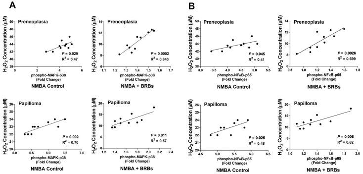 https://cdn.ncbi.nlm.nih.gov/pmc/blobs/eee8/5409752/310d5bae0836/nutrients-09-00413-g004.jpg