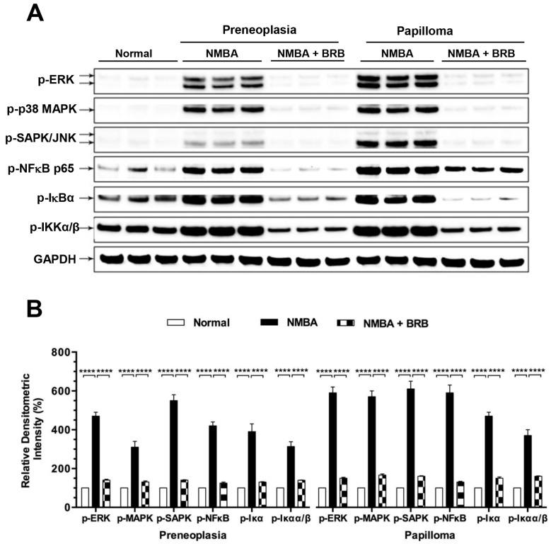 https://cdn.ncbi.nlm.nih.gov/pmc/blobs/eee8/5409752/f631ea5d448f/nutrients-09-00413-g003.jpg