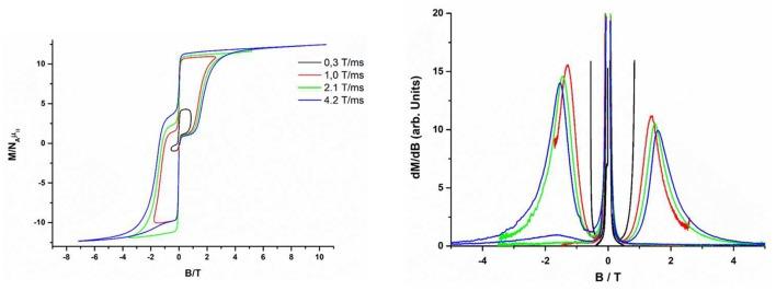 https://cdn.ncbi.nlm.nih.gov/pmc/blobs/eee8/6236069/a5028377fcf9/fchem-06-00537-g0009.jpg