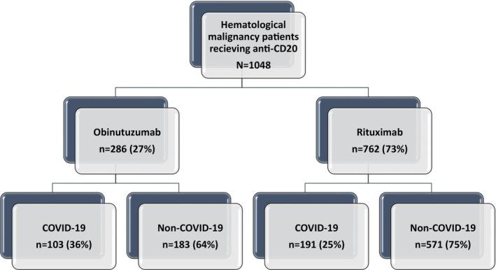 https://cdn.ncbi.nlm.nih.gov/pmc/blobs/eeec/10891459/b1b98030cd4e/CAM4-13-e6997-g001.jpg