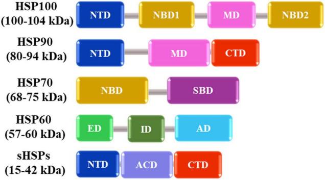 https://cdn.ncbi.nlm.nih.gov/pmc/blobs/eeef/9036485/6e53b1afa9da/fpls-13-837152-g002.jpg