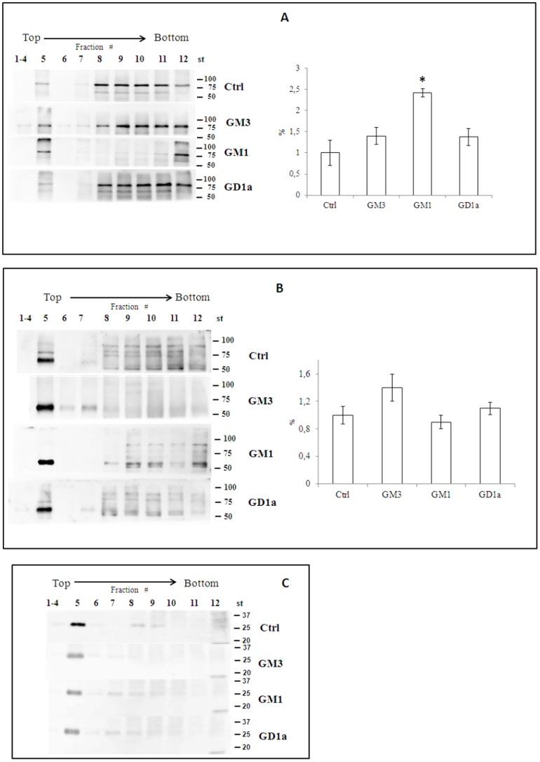 https://cdn.ncbi.nlm.nih.gov/pmc/blobs/eef0/4032283/b11c2ff2f995/pone.0098344.g006.jpg
