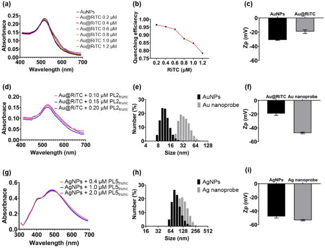 https://cdn.ncbi.nlm.nih.gov/pmc/blobs/eef1/10290134/eb515cdf06d6/41598_2023_37418_Fig3_HTML.jpg