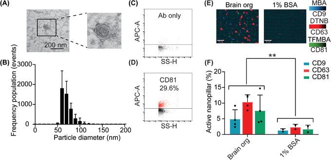 https://cdn.ncbi.nlm.nih.gov/pmc/blobs/eef1/12285632/5343c4e12ff6/SMTD-9-2401931-g003.jpg