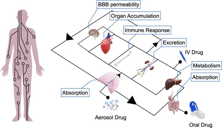 https://cdn.ncbi.nlm.nih.gov/pmc/blobs/eef1/8527590/6ca53c4246c6/gr4_lrg.jpg