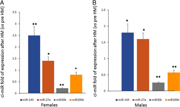 https://cdn.ncbi.nlm.nih.gov/pmc/blobs/eef1/9209351/ed56606ddc5d/12015_2022_10361_Fig4_HTML.jpg