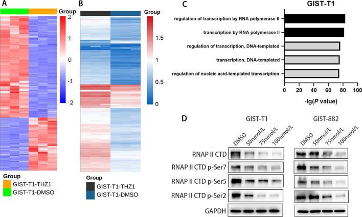 https://cdn.ncbi.nlm.nih.gov/pmc/blobs/eef1/9454178/21e144d687c2/12964_2022_928_Fig6_HTML.jpg