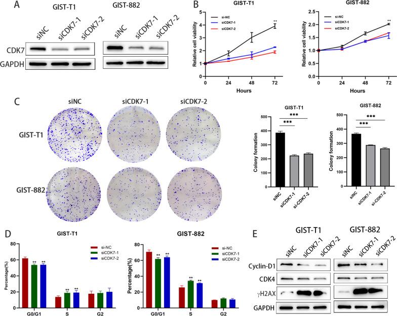 https://cdn.ncbi.nlm.nih.gov/pmc/blobs/eef1/9454178/8095affe9d48/12964_2022_928_Fig2_HTML.jpg