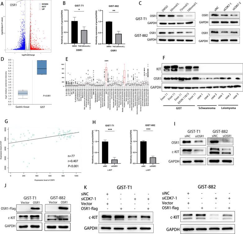 https://cdn.ncbi.nlm.nih.gov/pmc/blobs/eef1/9454178/b118a58adf57/12964_2022_928_Fig8_HTML.jpg