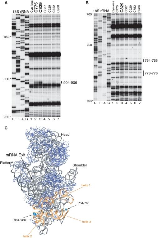 https://cdn.ncbi.nlm.nih.gov/pmc/blobs/eef2/3113573/4d38f195bf5a/gkr045f6.jpg