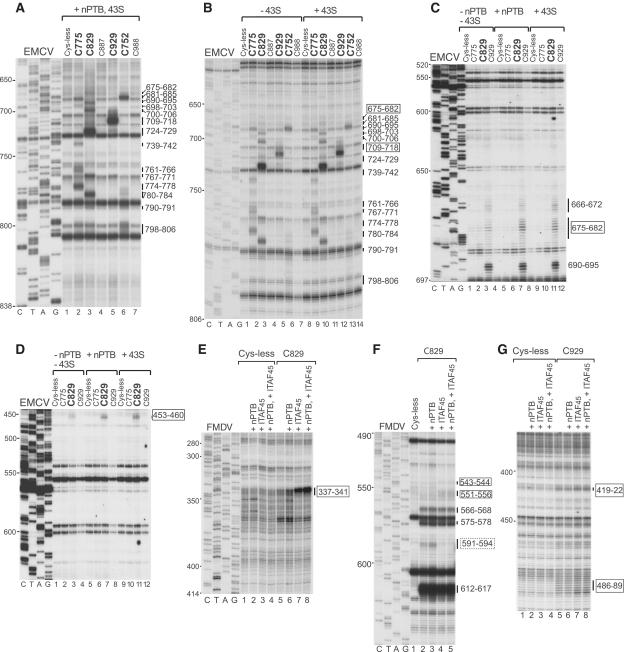 https://cdn.ncbi.nlm.nih.gov/pmc/blobs/eef2/3113573/9a0999e92407/gkr045f4.jpg