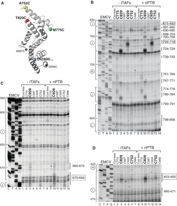 https://cdn.ncbi.nlm.nih.gov/pmc/blobs/eef2/3113573/a2bdddf7501e/gkr045f1.jpg