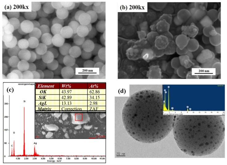 https://cdn.ncbi.nlm.nih.gov/pmc/blobs/eef2/7926691/306e2c7c6516/nanomaterials-11-00549-g002.jpg