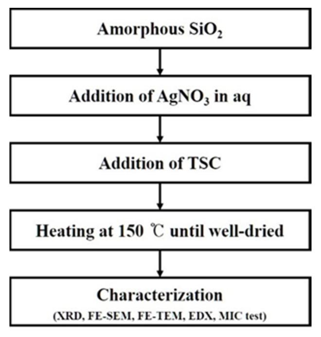 https://cdn.ncbi.nlm.nih.gov/pmc/blobs/eef2/7926691/8a1f58f55c91/nanomaterials-11-00549-sch001.jpg