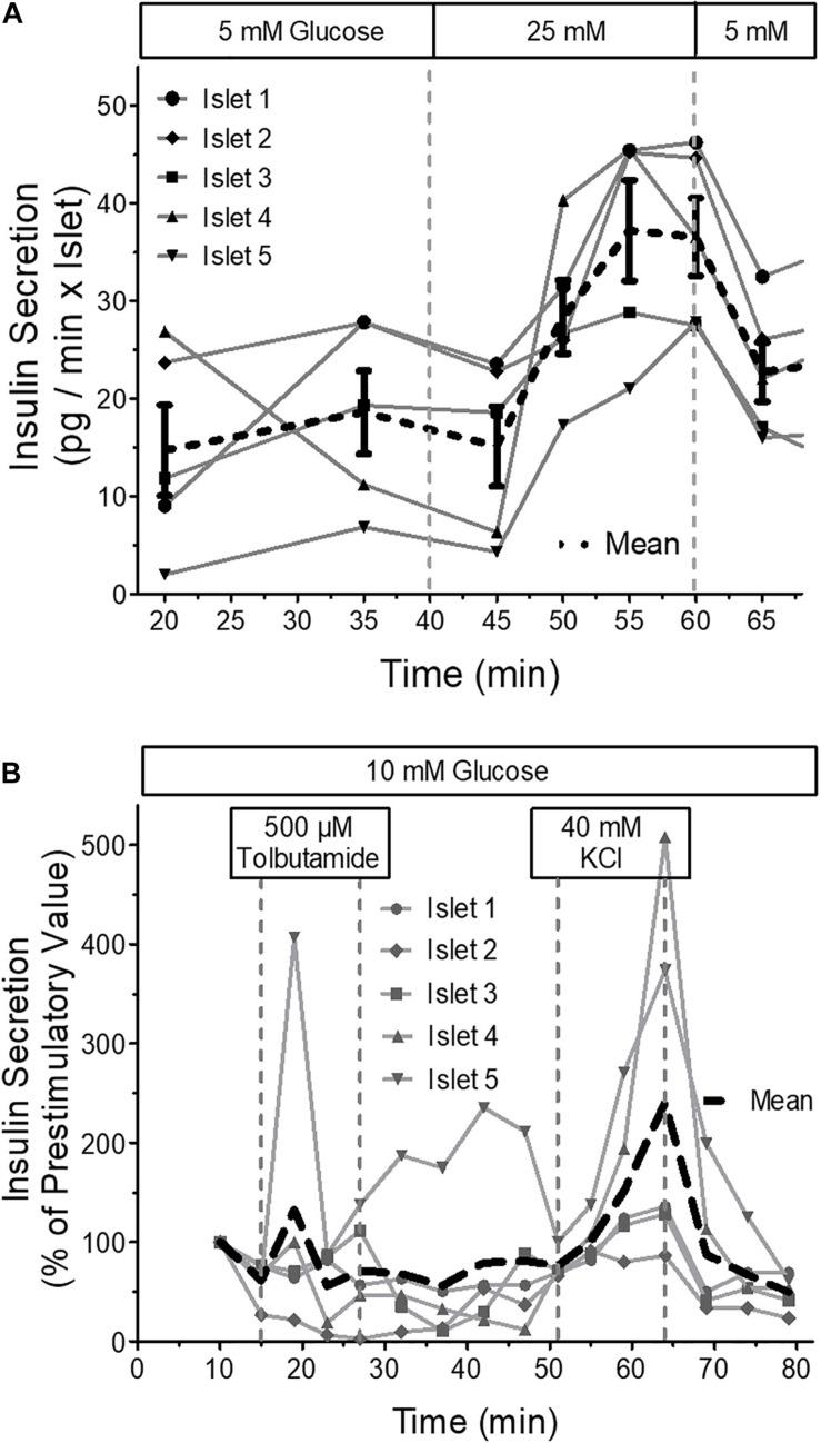 https://cdn.ncbi.nlm.nih.gov/pmc/blobs/eef4/7982818/c9f17d923cdb/fbioe-09-615639-g010.jpg
