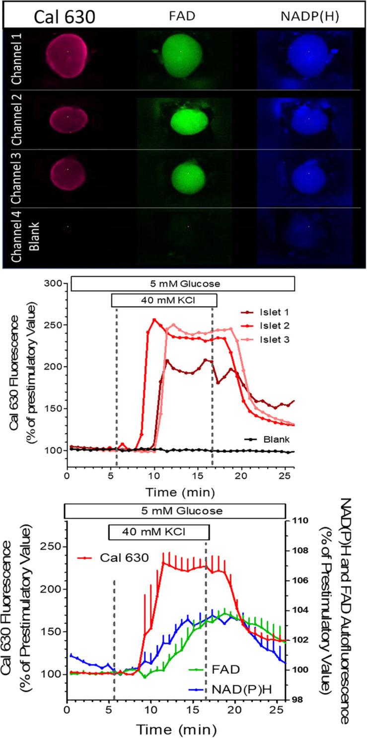 https://cdn.ncbi.nlm.nih.gov/pmc/blobs/eef4/7982818/f9a0e539fec9/fbioe-09-615639-g007.jpg