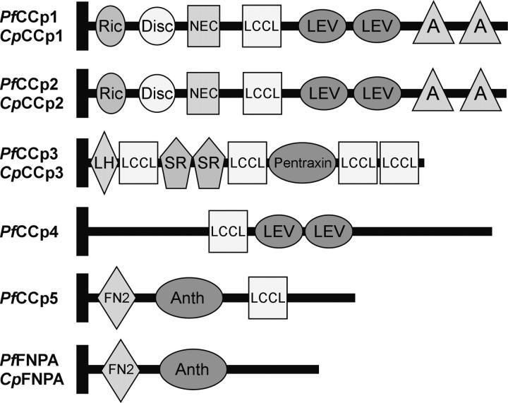 https://cdn.ncbi.nlm.nih.gov/pmc/blobs/eef6/2211786/0e47abed92a8/20031274f1.jpg