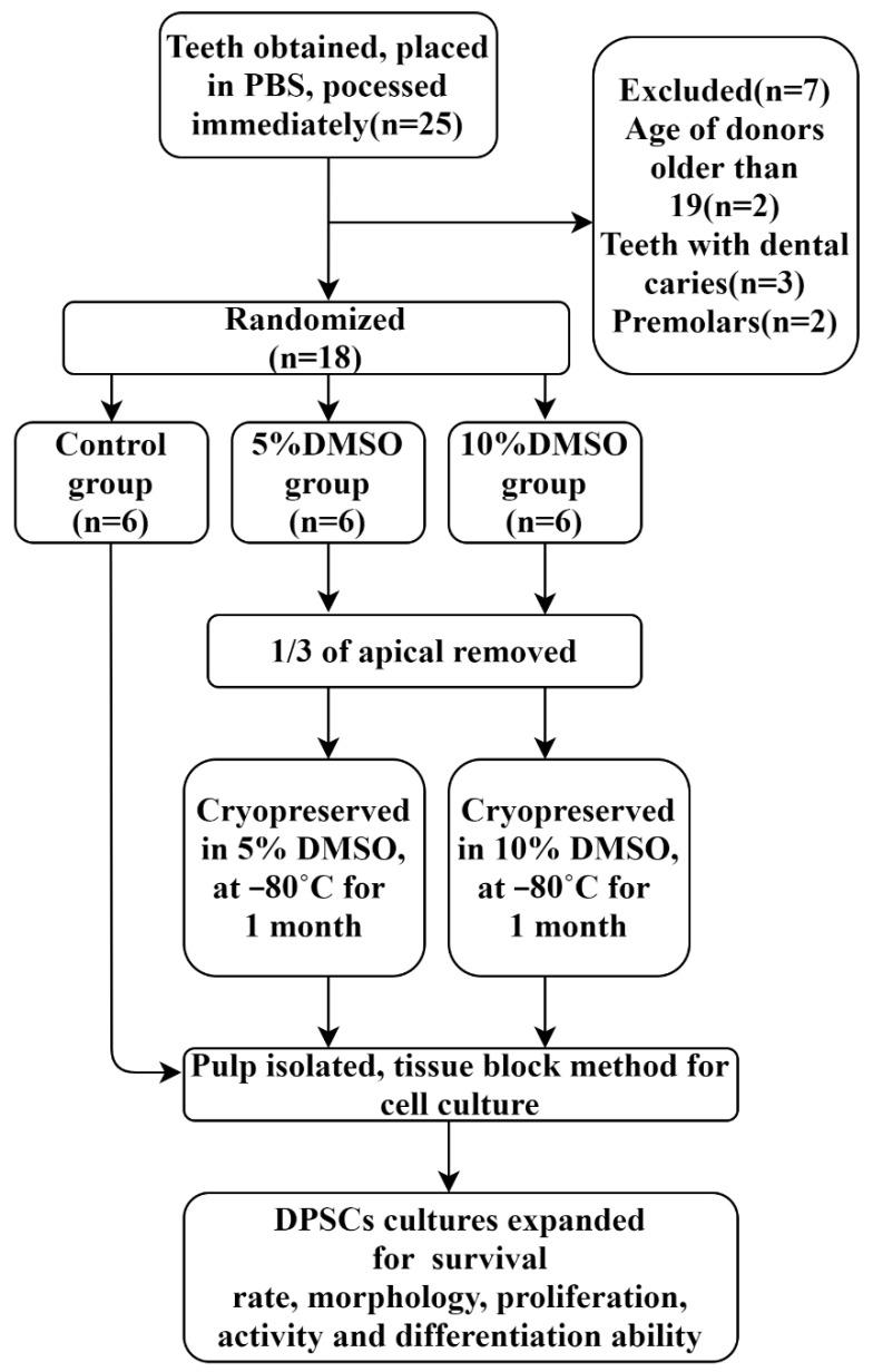 https://cdn.ncbi.nlm.nih.gov/pmc/blobs/eef8/9570360/2553022824d3/ijms-23-11485-g010.jpg