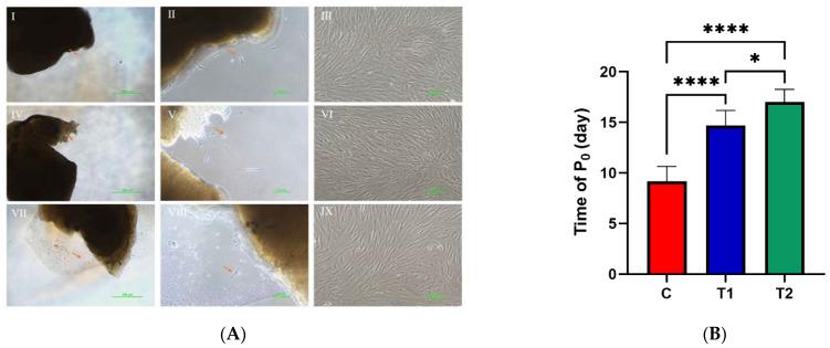 https://cdn.ncbi.nlm.nih.gov/pmc/blobs/eef8/9570360/5d07f0169e23/ijms-23-11485-g001.jpg