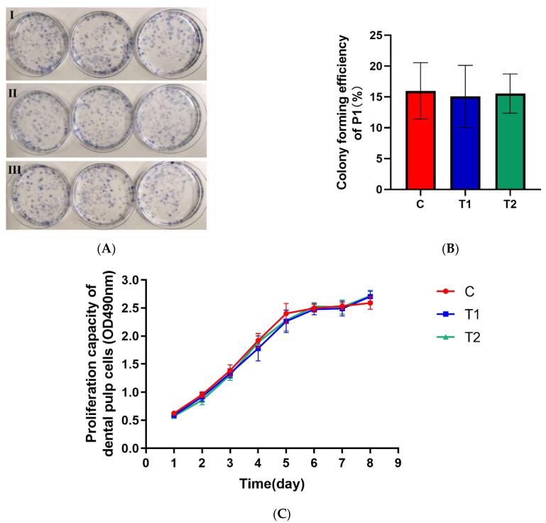 https://cdn.ncbi.nlm.nih.gov/pmc/blobs/eef8/9570360/ac4b710aa9e0/ijms-23-11485-g005.jpg