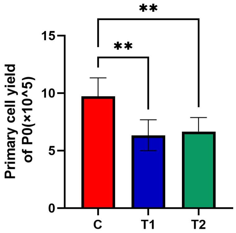 https://cdn.ncbi.nlm.nih.gov/pmc/blobs/eef8/9570360/e630833db113/ijms-23-11485-g002.jpg