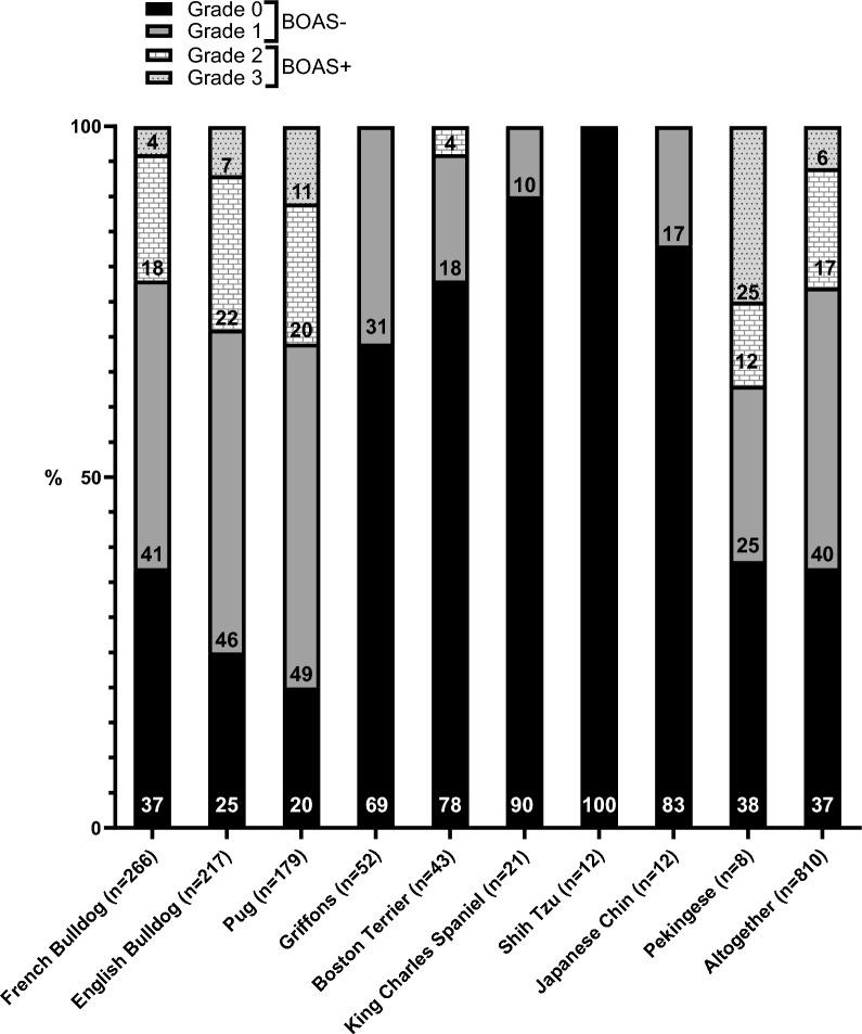https://cdn.ncbi.nlm.nih.gov/pmc/blobs/eef9/11264736/9e3be46165d5/13028_2024_755_Fig1_HTML.jpg