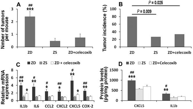 https://cdn.ncbi.nlm.nih.gov/pmc/blobs/eef9/8034938/f5b3237c8b2f/aging-13-202642-g006.jpg
