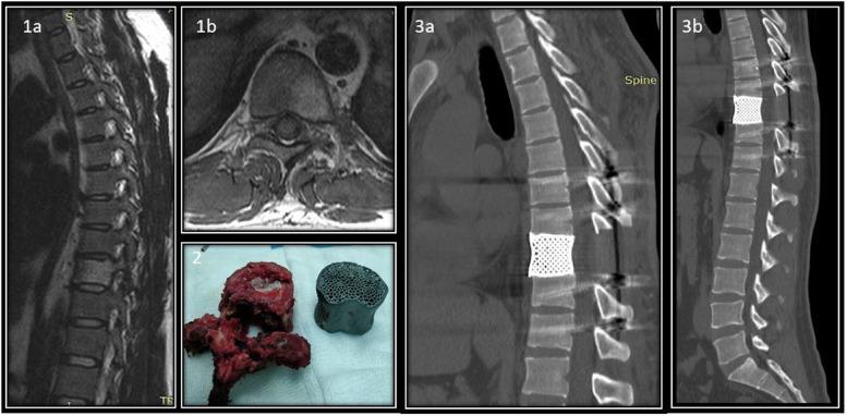 https://cdn.ncbi.nlm.nih.gov/pmc/blobs/eefa/12315295/703d5a62527a/41205_2025_294_Fig1_HTML.jpg