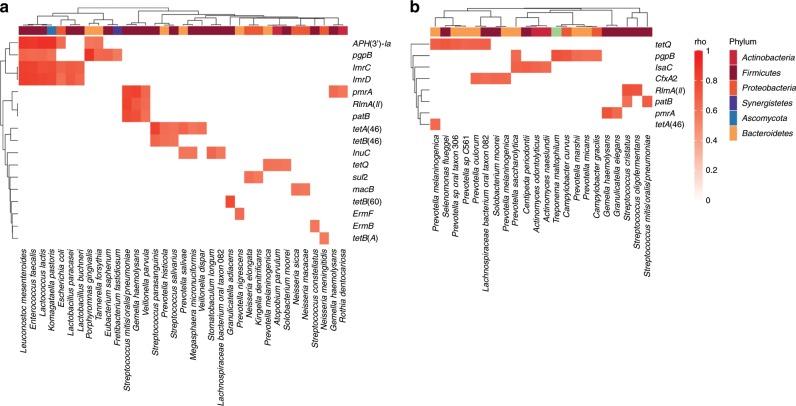 https://cdn.ncbi.nlm.nih.gov/pmc/blobs/eefb/7000725/4dc0fd284be2/41467_2020_14422_Fig5_HTML.jpg