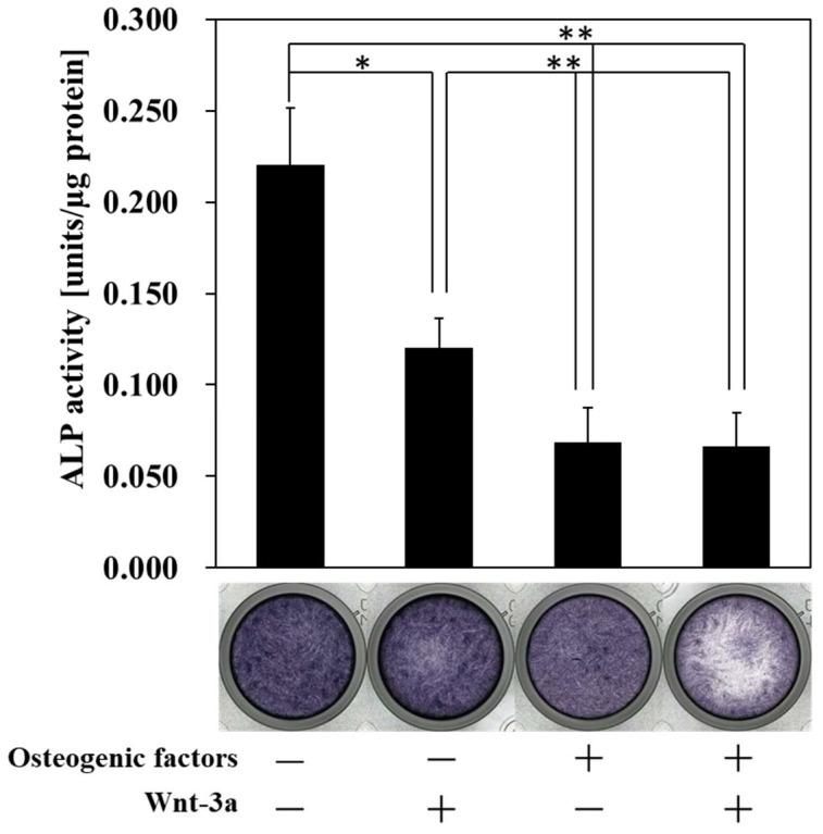 https://cdn.ncbi.nlm.nih.gov/pmc/blobs/eefb/9776043/42a766f99f31/biomimetics-07-00224-g003.jpg