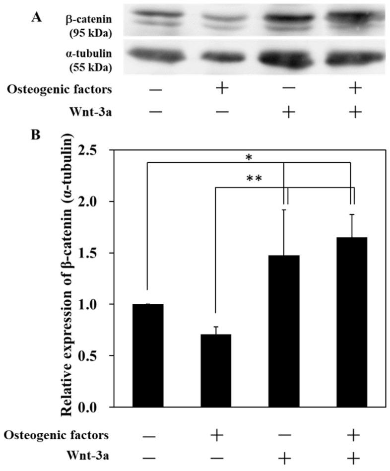 https://cdn.ncbi.nlm.nih.gov/pmc/blobs/eefb/9776043/65862799bf83/biomimetics-07-00224-g002.jpg