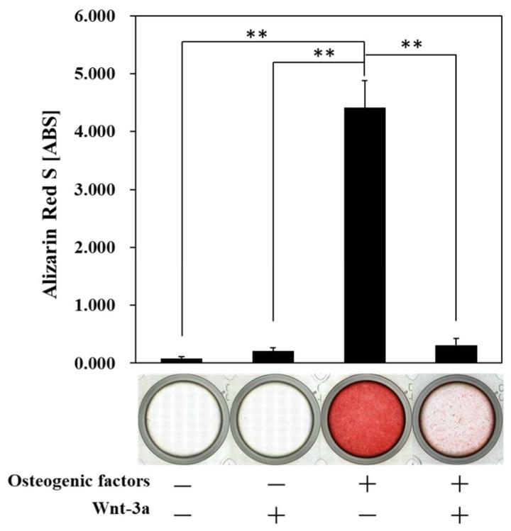 https://cdn.ncbi.nlm.nih.gov/pmc/blobs/eefb/9776043/9defab3207ee/biomimetics-07-00224-g004.jpg