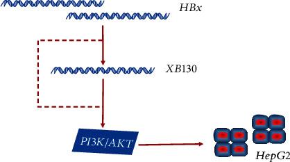 https://cdn.ncbi.nlm.nih.gov/pmc/blobs/eefd/8140855/140639e80d63/ACP2021-6615979.008.jpg