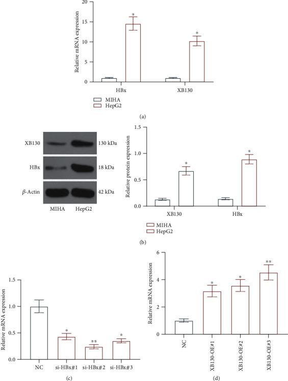 https://cdn.ncbi.nlm.nih.gov/pmc/blobs/eefd/8140855/37e13c27715d/ACP2021-6615979.002.jpg