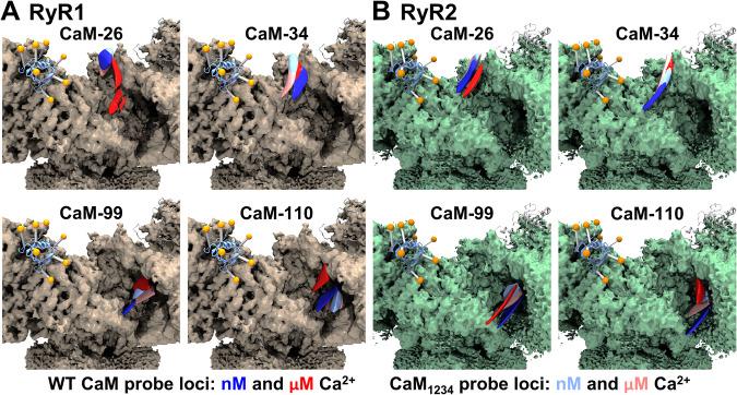 https://cdn.ncbi.nlm.nih.gov/pmc/blobs/ef01/11180167/4bc8cb4047a7/41467_2024_48951_Fig4_HTML.jpg