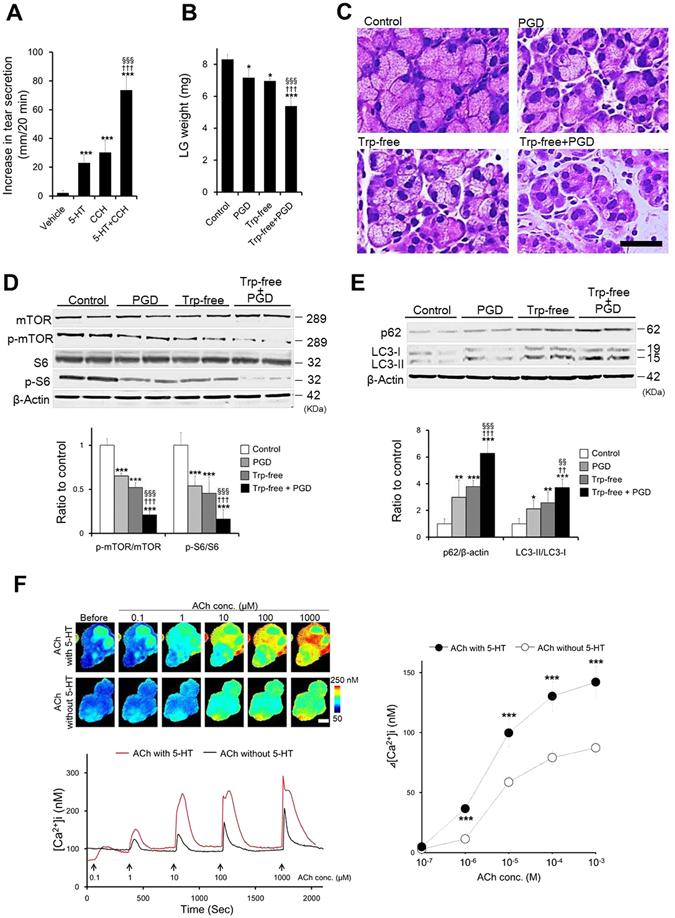 https://cdn.ncbi.nlm.nih.gov/pmc/blobs/ef01/5537296/5ee3cf08876c/41598_2017_6022_Fig6_HTML.jpg