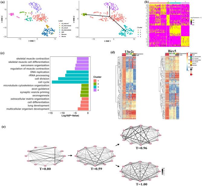 https://cdn.ncbi.nlm.nih.gov/pmc/blobs/ef02/12081924/4fef92350260/41598_2025_1969_Fig3_HTML.jpg