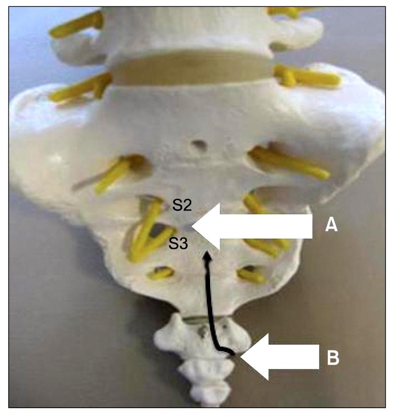 https://cdn.ncbi.nlm.nih.gov/pmc/blobs/ef04/3259136/d8970b707768/kjpain-25-38-g001.jpg