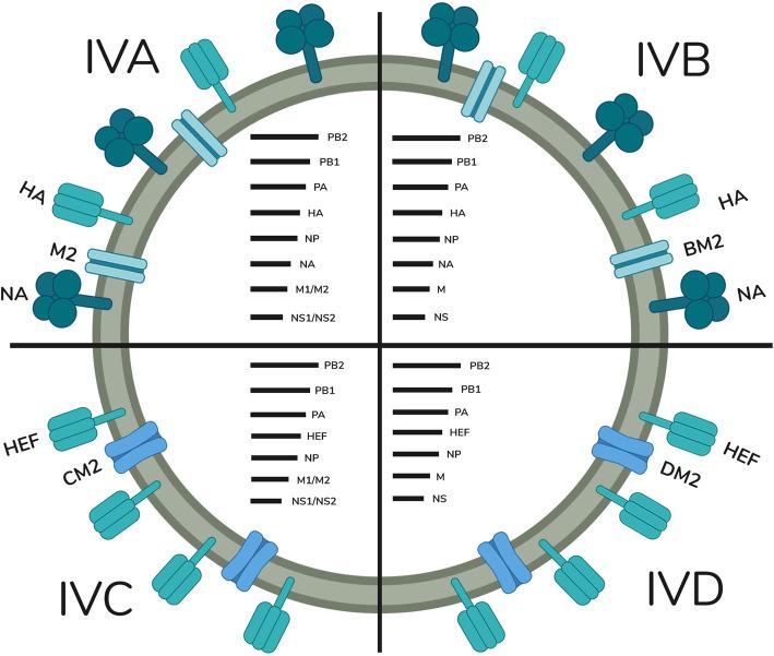 https://cdn.ncbi.nlm.nih.gov/pmc/blobs/ef06/8196934/9067899cb88a/43094_2021_269_Fig1_HTML.jpg