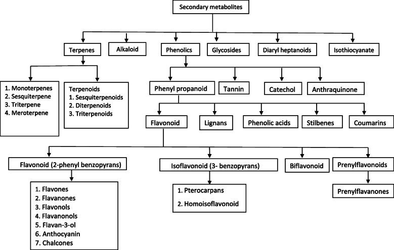https://cdn.ncbi.nlm.nih.gov/pmc/blobs/ef06/8196934/f3f6f042e075/43094_2021_269_Fig3_HTML.jpg