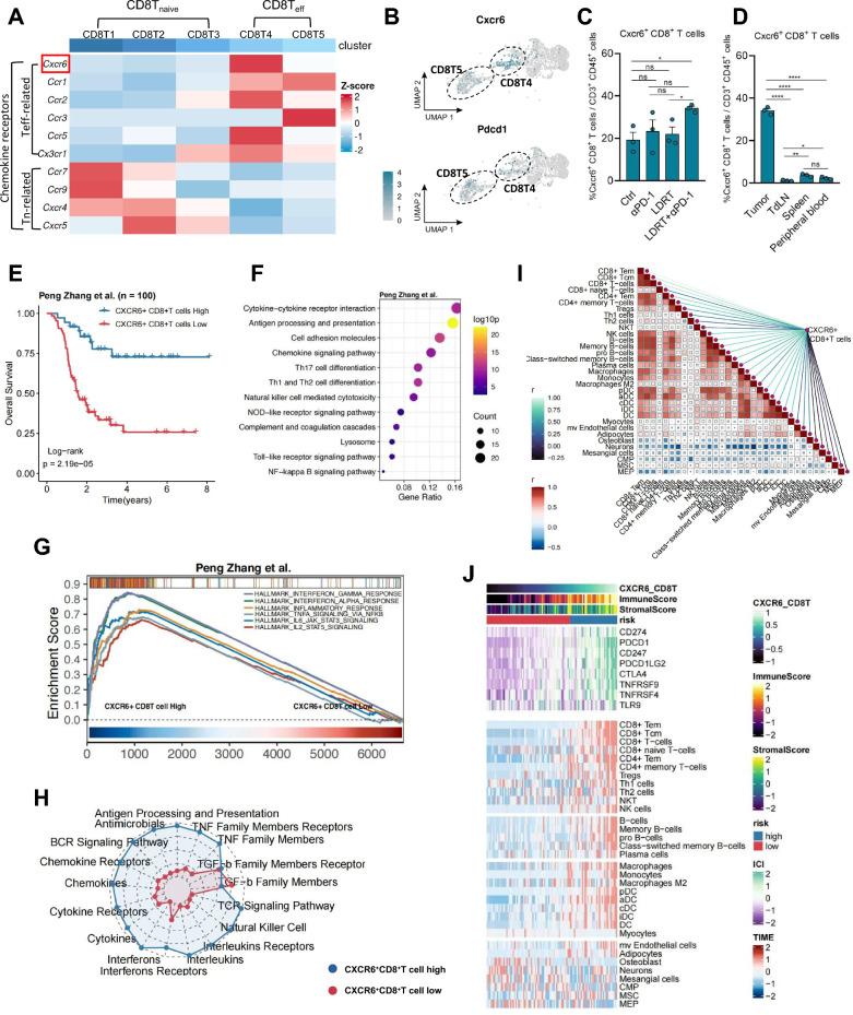 https://cdn.ncbi.nlm.nih.gov/pmc/blobs/ef07/12007177/e5468e607238/12967_2025_6450_Fig3_HTML.jpg