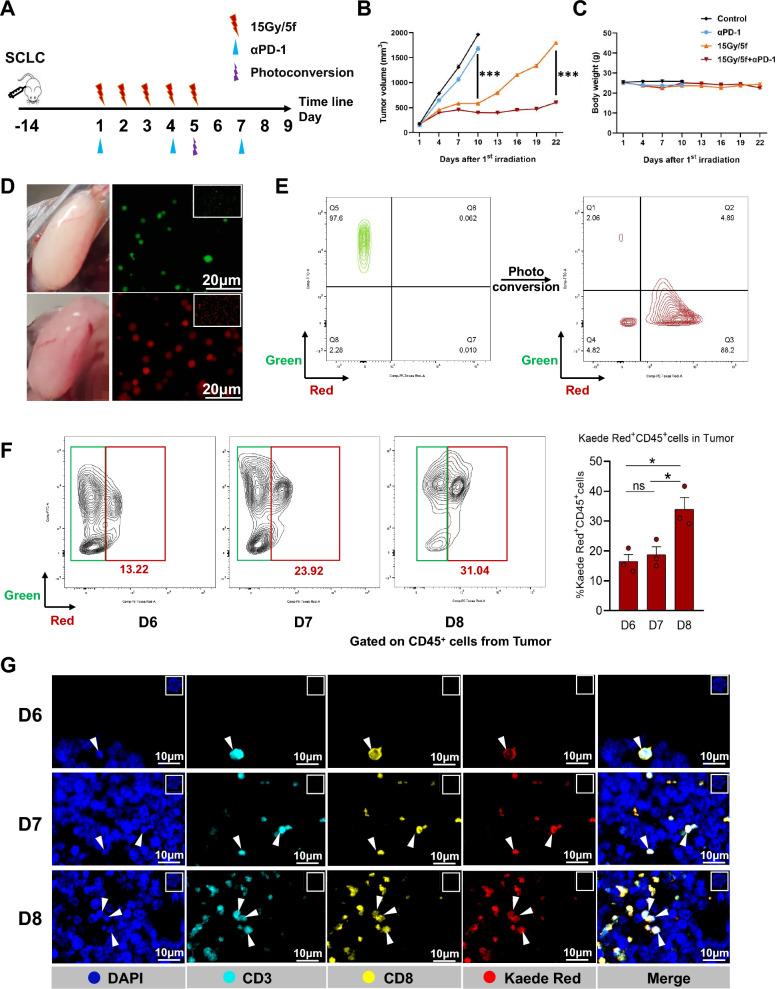 https://cdn.ncbi.nlm.nih.gov/pmc/blobs/ef07/12007177/f45856896a50/12967_2025_6450_Fig1_HTML.jpg