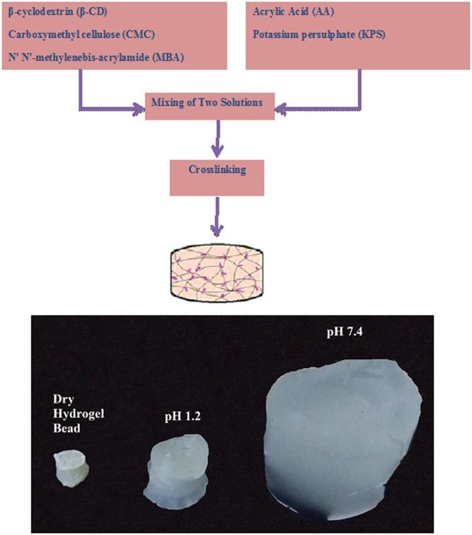 https://cdn.ncbi.nlm.nih.gov/pmc/blobs/ef07/5330485/6e4836b7e6e4/pone.0172727.g001.jpg