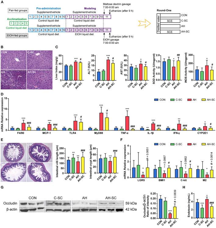 https://cdn.ncbi.nlm.nih.gov/pmc/blobs/ef08/8894320/64066d8c930a/fnut-09-822429-g0001.jpg